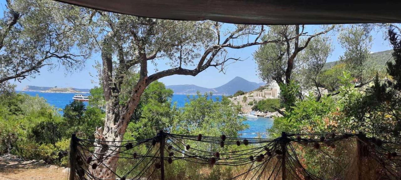 Apartmani Roganovic Luštica Exterior foto